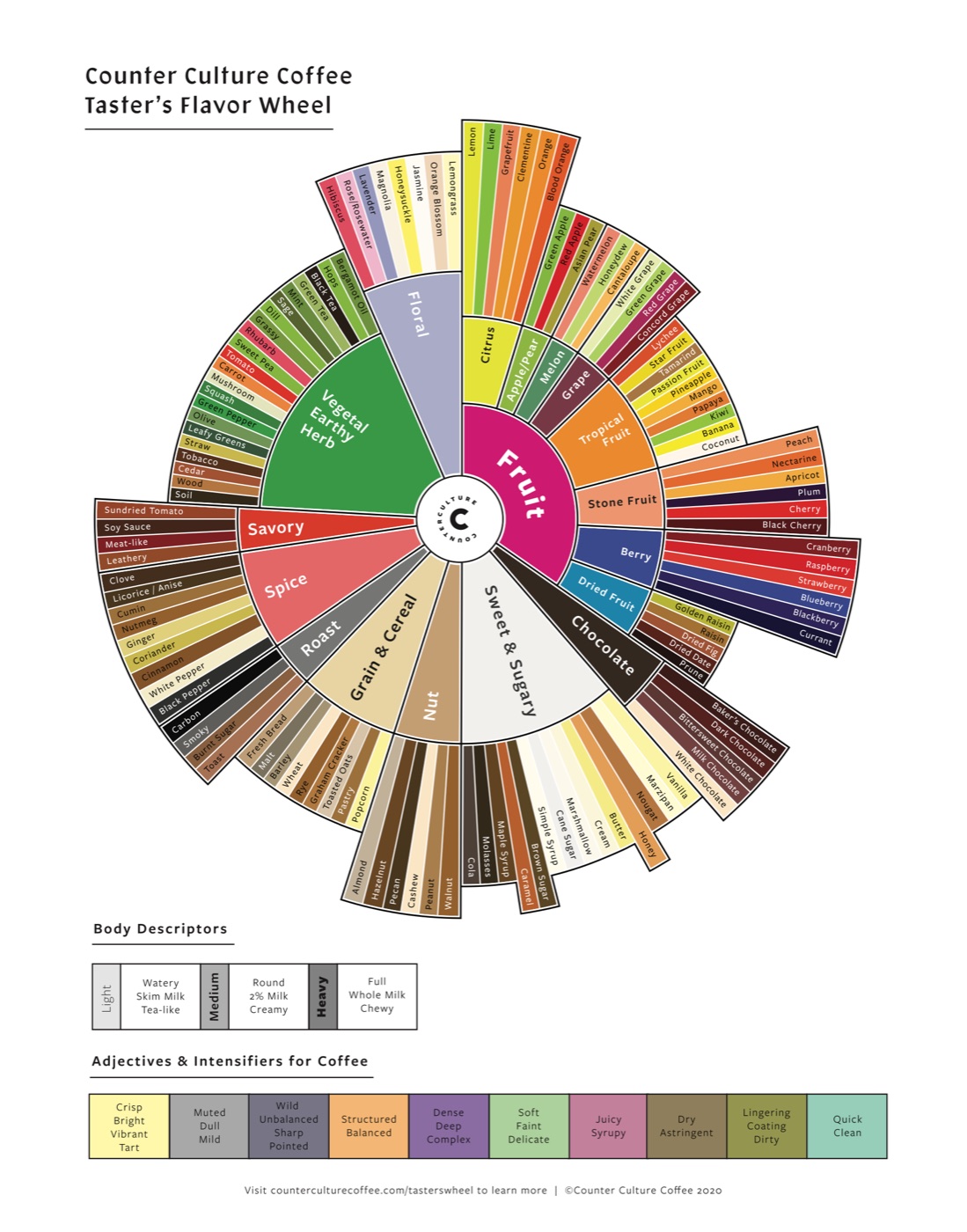 Counter Culture Coffee Taster's Flavor Wheel